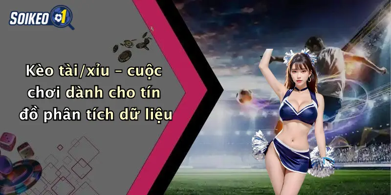 Kèo tài/xỉu – cuộc chơi dành cho tín đồ phân tích dữ liệu