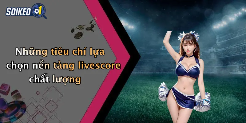 Những tiêu chí lựa chọn nền tảng livescore chất lượng