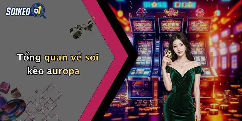 Tổng quan về soi kèo auropa