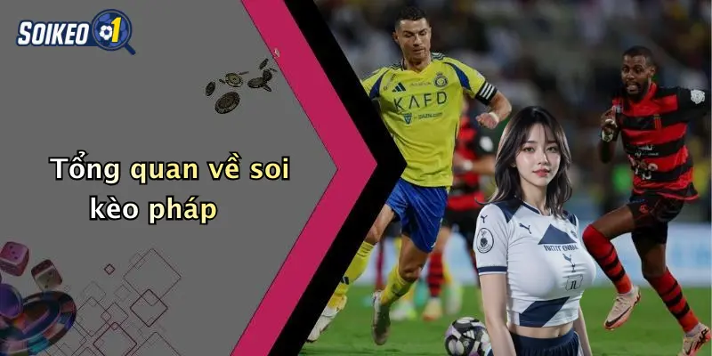 Tổng quan về soi kèo pháp