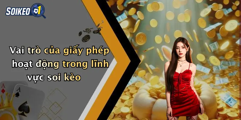 Vai trò của giấy phép hoạt động trong lĩnh vực soi kèo