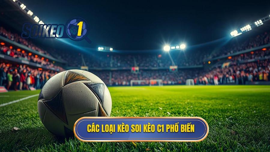 2. Các loại kèo soi kèo C1 phổ biến