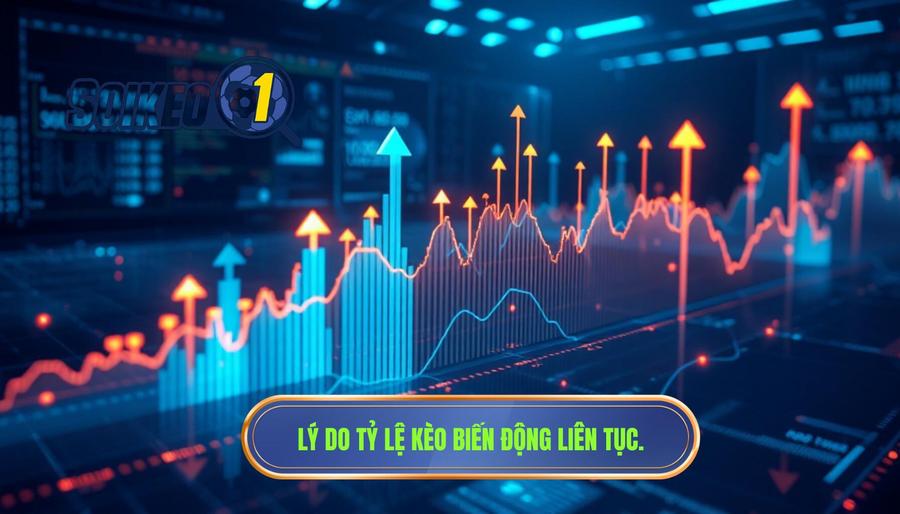 Phân tích đa chiều: Tại sao tỷ lệ kèo liên tục biến động?